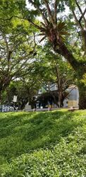 Blk 117 Kebun Baru Heights (Ang Mo Kio), HDB 4 Rooms #559815861